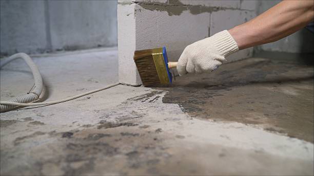 SJ Waterproofing Pros Waterproofing coverage map for Breckenridge, MI and surrounding area